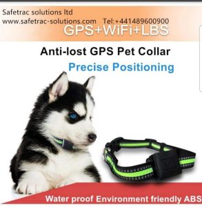 Pet locator from SafeTrac Solutions