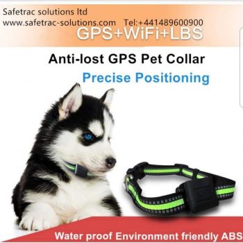Pet locator from SafeTrac Solutions